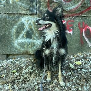 Meet your Posher, Audrey